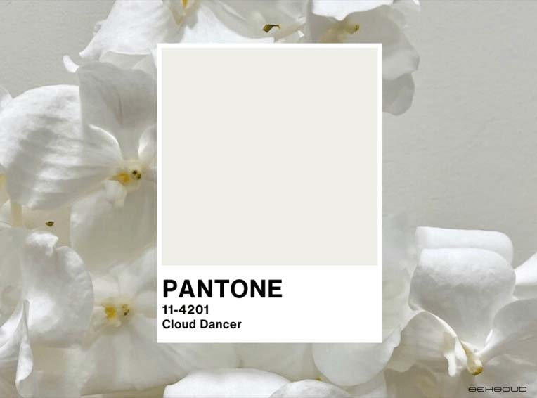 PANTONE 11-4201 Cloud Dancer